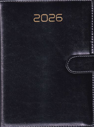 Picture of NEW YEAR DIARY 2026