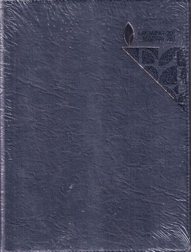 Picture of NEW YEAR DIARY 2026