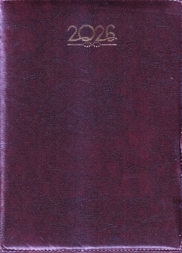 Picture of NEW YEAR DIARY 2026