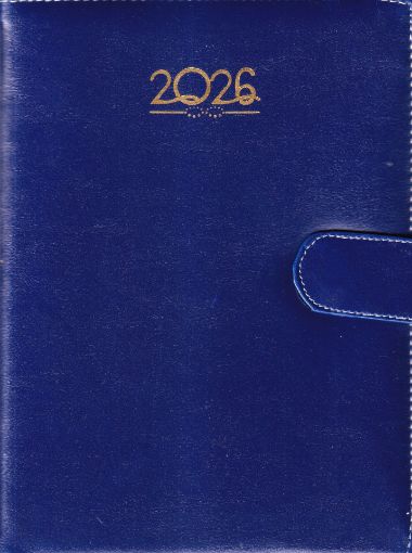 Picture of NEW YEAR DIARY 2026