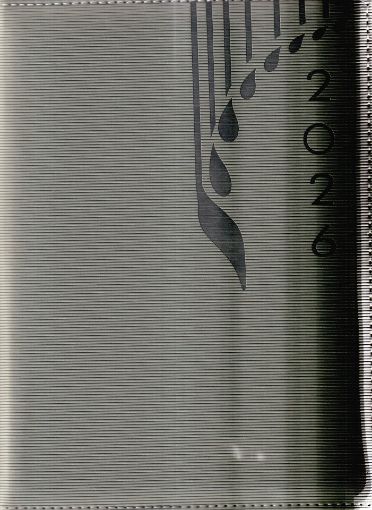 Picture of NEW YEAR DIARY 2026