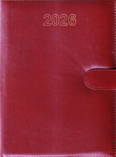 Picture of NEW YEAR DIARY 2026