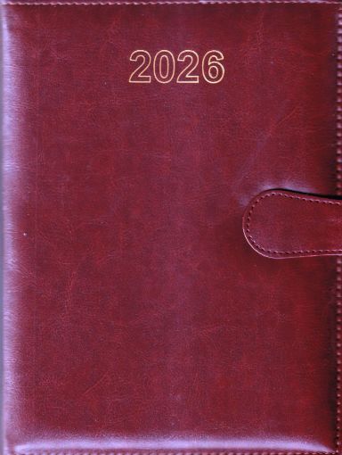 Picture of NEW YEAR DIARY 2026