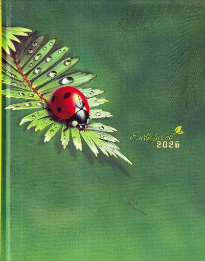 Picture of NEW YEAR DIARY 2026