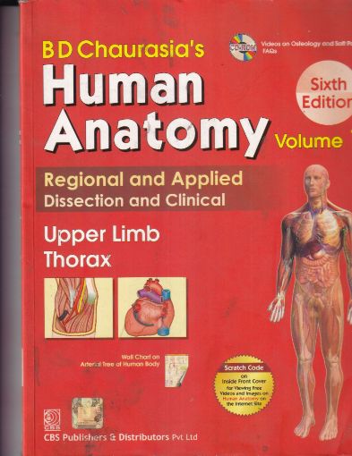 Picture of HUMAN ANATOMY